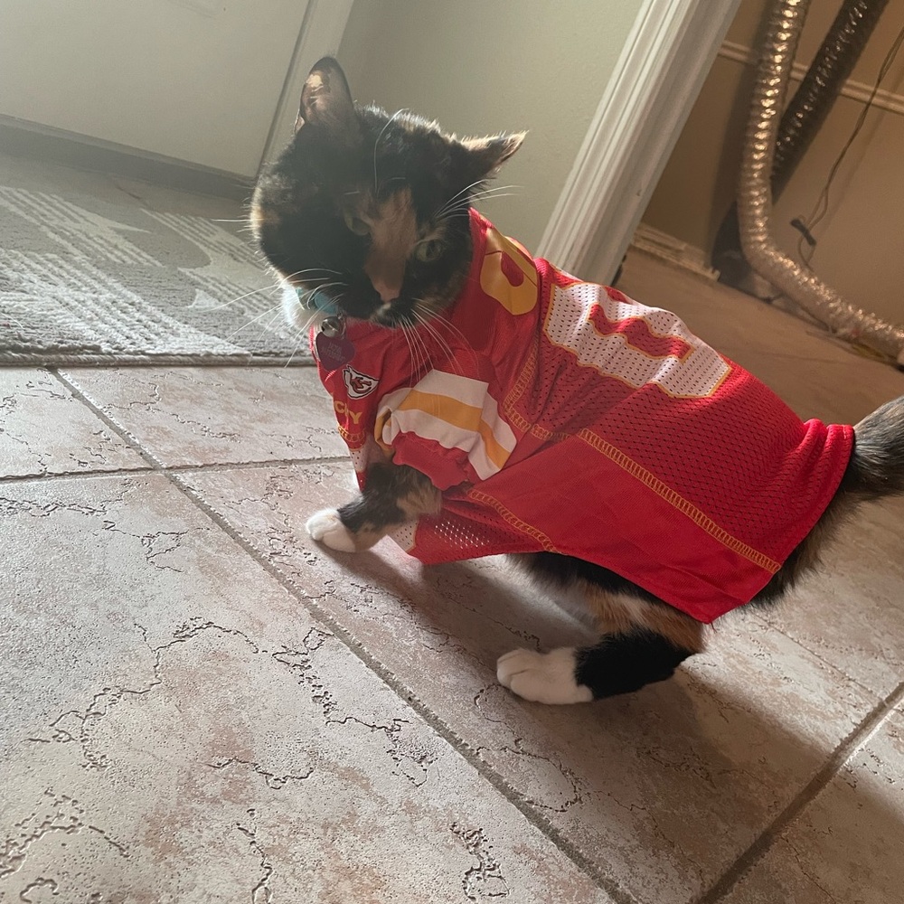 PET SIZE NFL Chiefs Red Jersey with Yellow and White - Picture 3 of 3